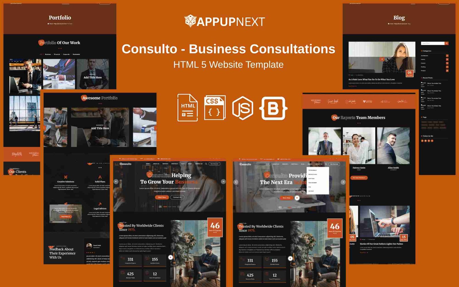 Consulto - Business Consultations - HTML 5 Website Template - v10