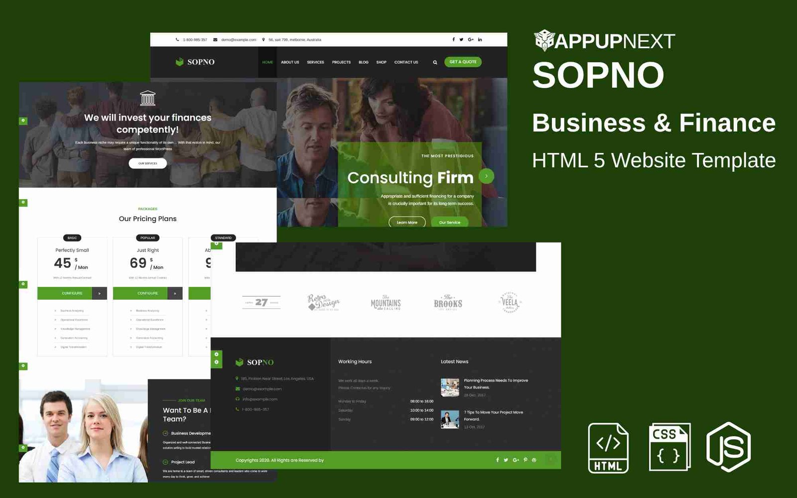 SOPNO - Business & Finance - HTML 5 Website Template - v2